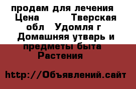 продам для лечения › Цена ­ 300 - Тверская обл., Удомля г. Домашняя утварь и предметы быта » Растения   